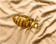 Bed Bug Poster Print by Spencer Sutton showcasing detailed illustrations.
