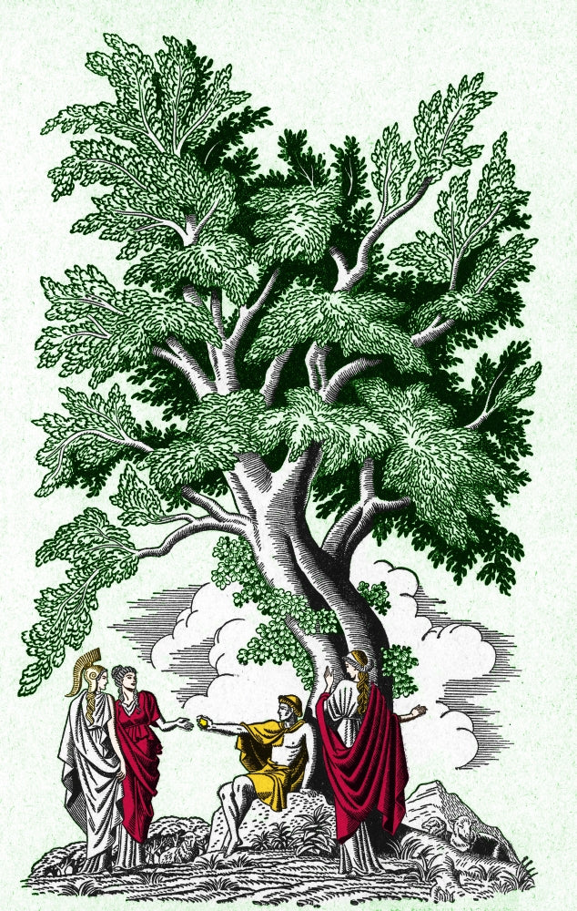 Judgement Of Paris Poster Print showcasing vibrant colors and historical art moment.