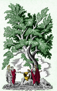 Judgement Of Paris Poster Print showcasing vibrant colors and historical art moment.