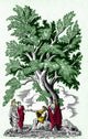 Judgement Of Paris Poster Print showcasing vibrant colors and historical art moment.