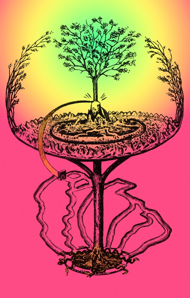 Cosmology Yggdrasil Great Ash Tree Poster Print
