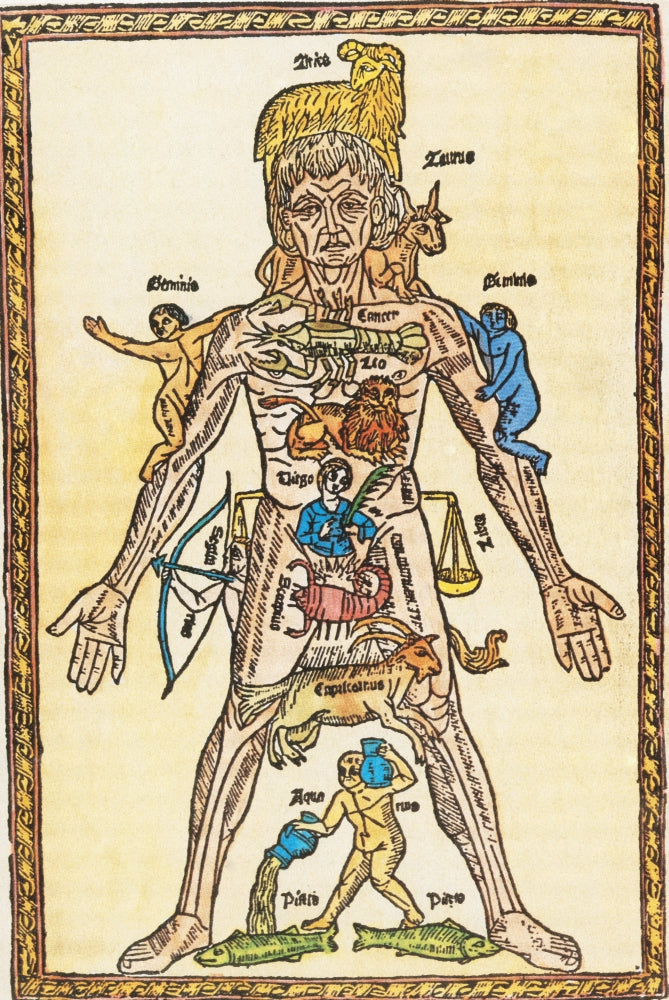 Zodiac Man 16th Century Poster Print showcasing astrological illustrations.