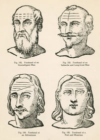Physiognomy poster print from 1637, showcasing facial features and expressions.