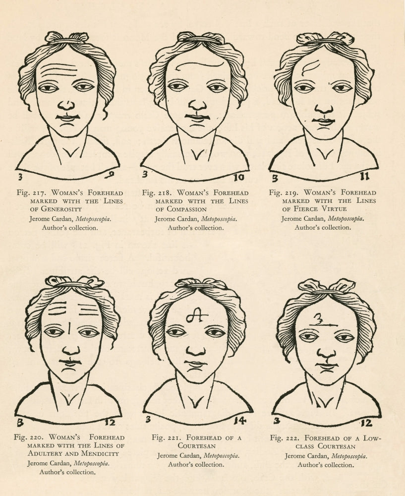Physiognomy Poster Print (18 x 24) by Science Source