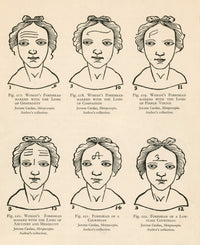 Physiognomy Poster Print (18 x 24) by Science Source