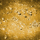 Moon Surface Poster Print showcasing detailed lunar landscape.