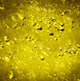 Moon Surface Poster Print showcasing the lunar landscape.
