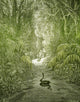 Adam and Eve and Snake Poster Print by Science Source