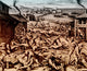 Jamestown Massacre 1622 Poster Print by Science Source