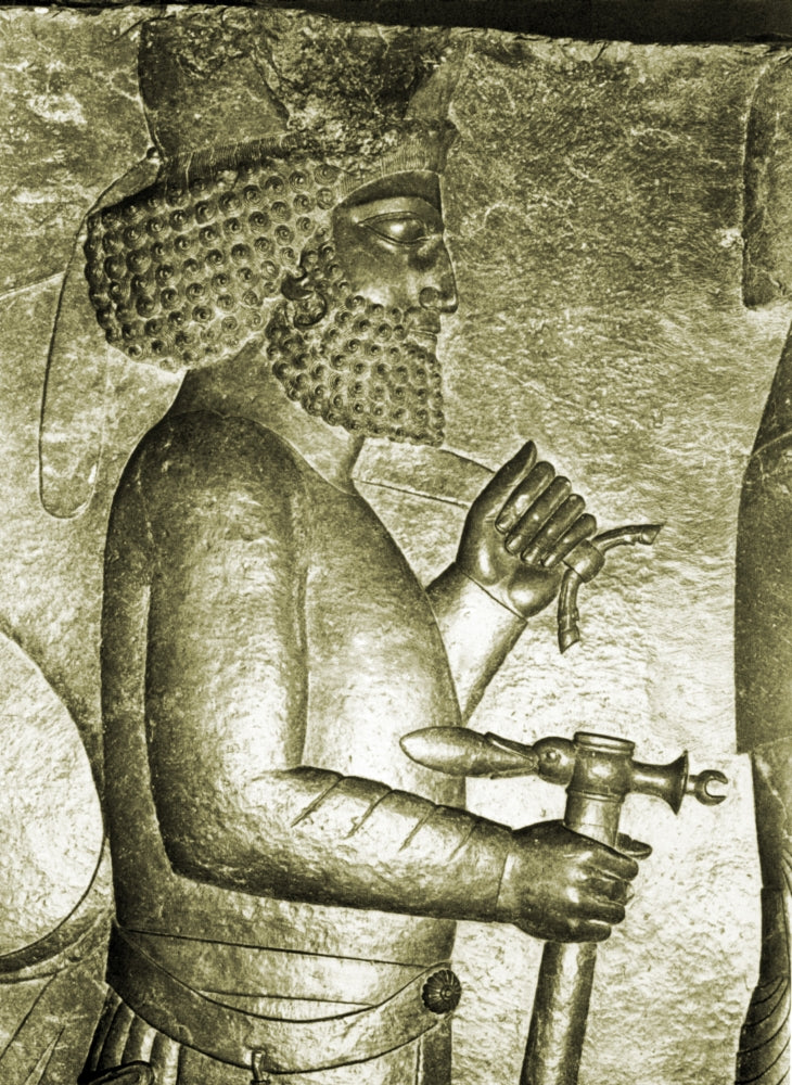 Royal Reception Relief Poster Print depicting Persepolis, Iran