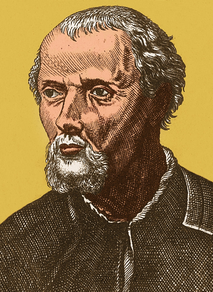 Paracelsus Swiss Polymath Poster Print showcasing the contributions of the renowned Swiss scientist.