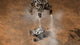 Mars Science Laboratory Reaches Mars Poster Print showcasing the achievement of space exploration.