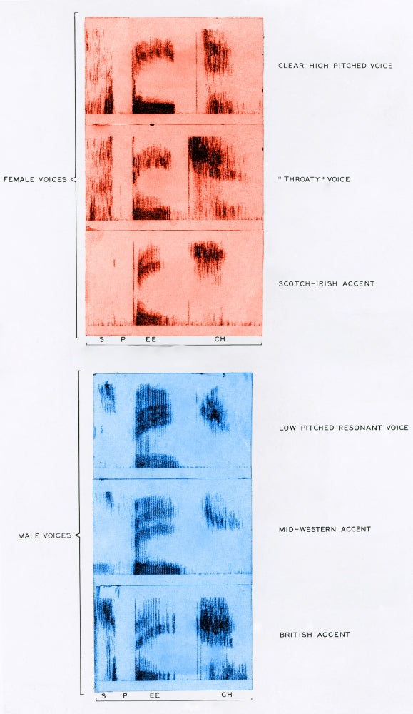 Spectrograms of the word 'Speech' Poster Print showcasing sound wave patterns.