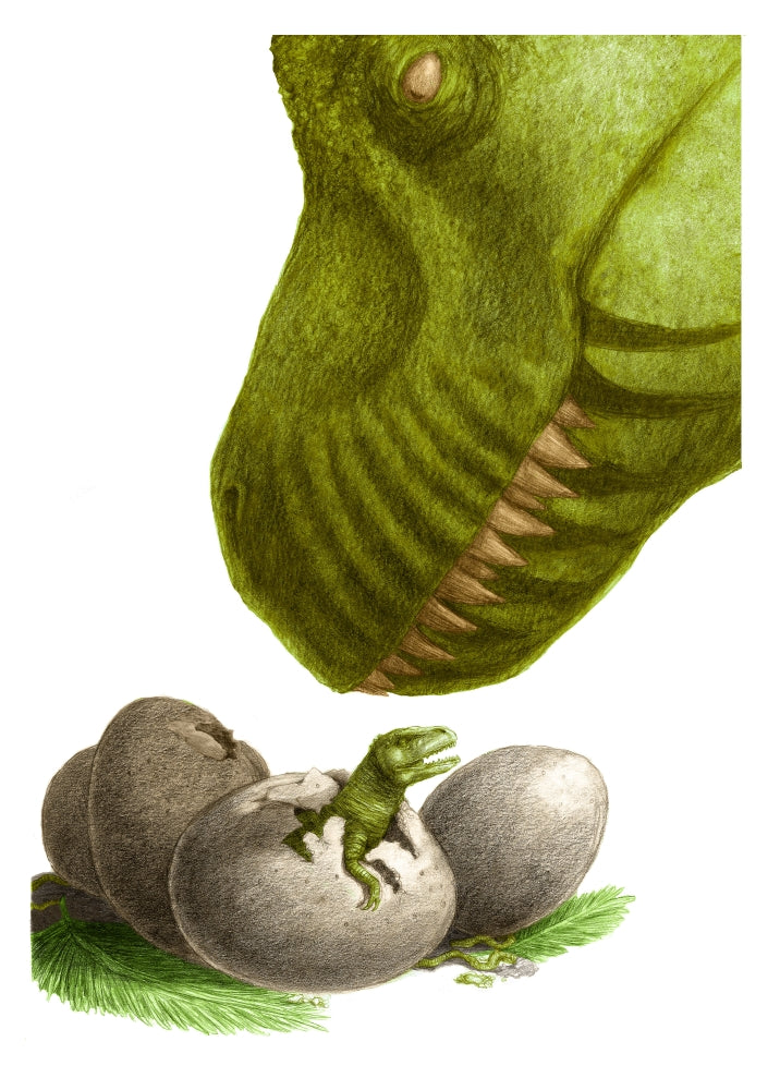 Dinosaur with Eggs Poster Print by Spencer Sutton - vibrant dinosaur art for children's rooms