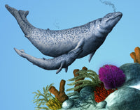 Dorudon and Calf Poster Print by Spencer Sutton, showcasing prehistoric marine life.