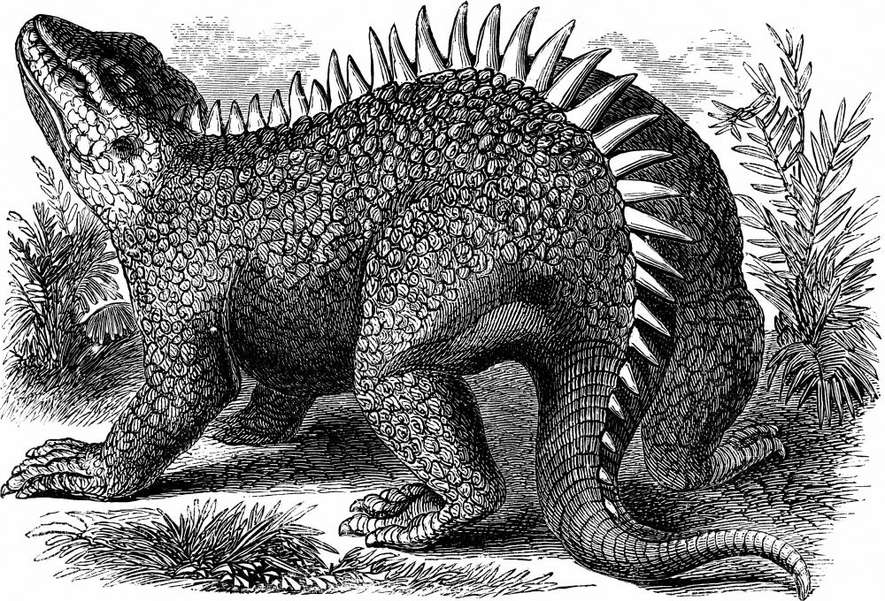 Hylaeosaurus Cretaceous Dinosaur Poster Print showcasing prehistoric art