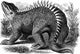 Hylaeosaurus Cretaceous Dinosaur Poster Print showcasing prehistoric art