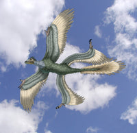 Microraptor Poster Print by Spencer Sutton showcasing a prehistoric dinosaur.