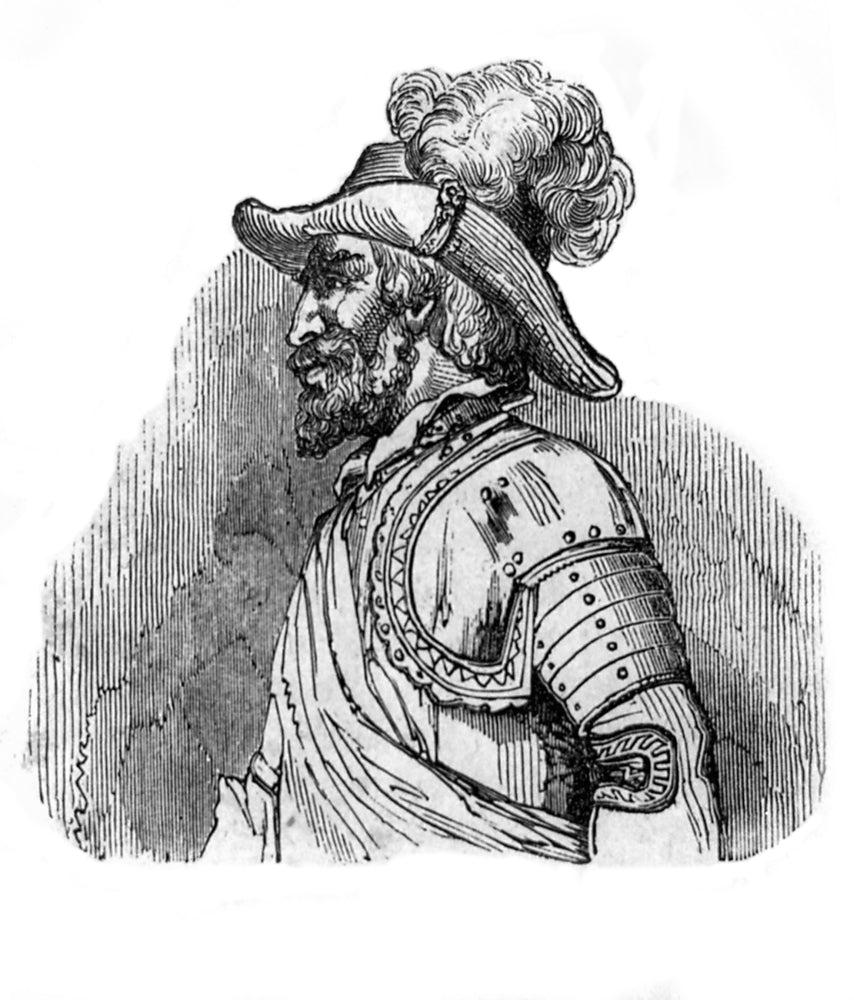 Juan Ponce de León Spanish Conquistador Poster Print