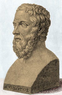 Herodotus Ancient Greek Historian Poster Print - 18x24
