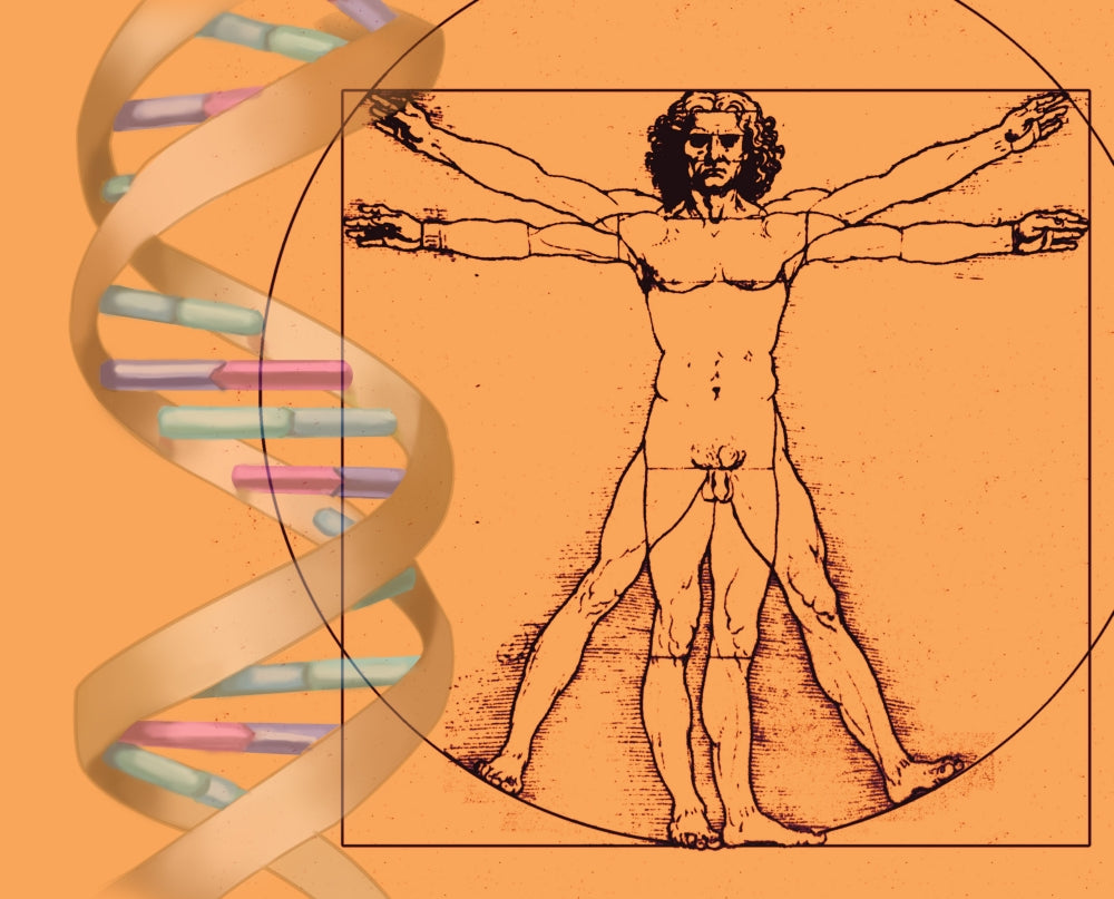 Vitruvian Man with DNA Poster Print by Spencer Sutton