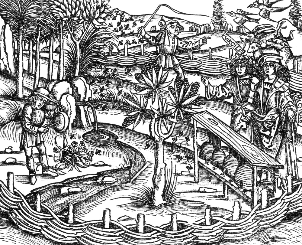 Virgil Shows Maecenas A Bee Paradise Poster Print showcasing a vibrant bee-filled landscape.
