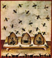 http://c328301.r1.cf1.rackcdn.com/SCIBV0709.jpg