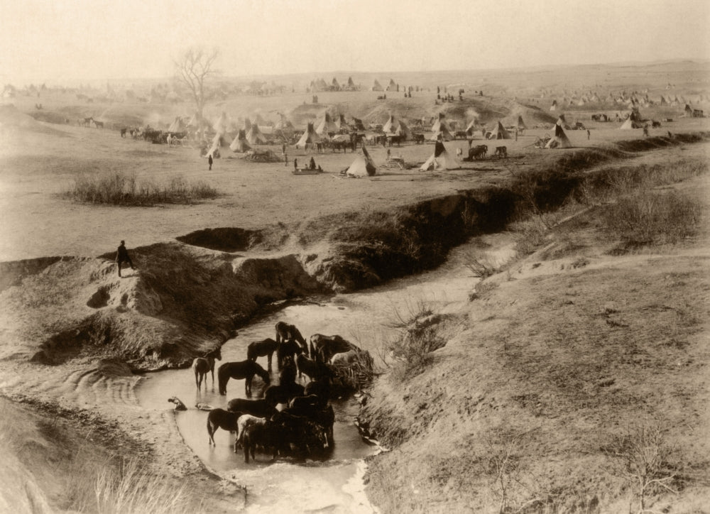 Sioux Camp at Pine Ridge, 1891 poster print showcasing Native American history.