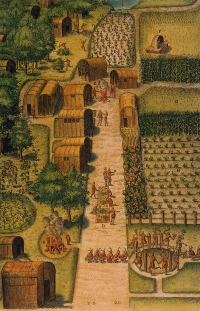 Algonquian Village, 1585 Poster Print showcasing indigenous culture