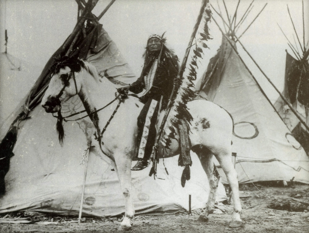 Iron Tail Sioux Chief Early 1900s Poster Print