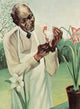 George W. Carver American Scientist Poster Print