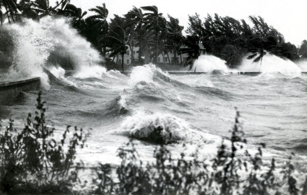 Hurricane Waves Poster Print showcasing powerful ocean waves.