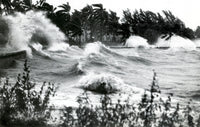 Hurricane Waves Poster Print showcasing powerful ocean waves.