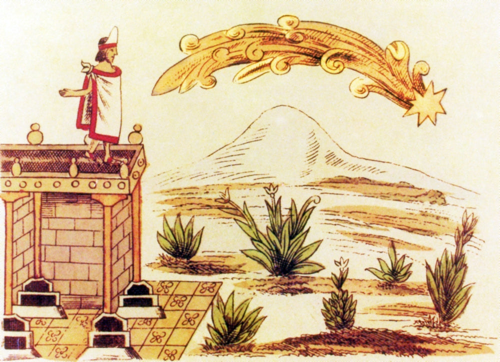 Montezuma II Watching Comet 1519 Poster Print by Science Source