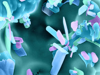 Aspirin SEM Poster Print showcasing molecular structure.