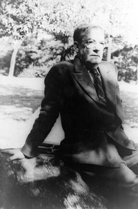 Sherwood Anderson American Author Poster Print