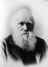 Charles Robert Darwin poster print showcasing the English naturalist's legacy.