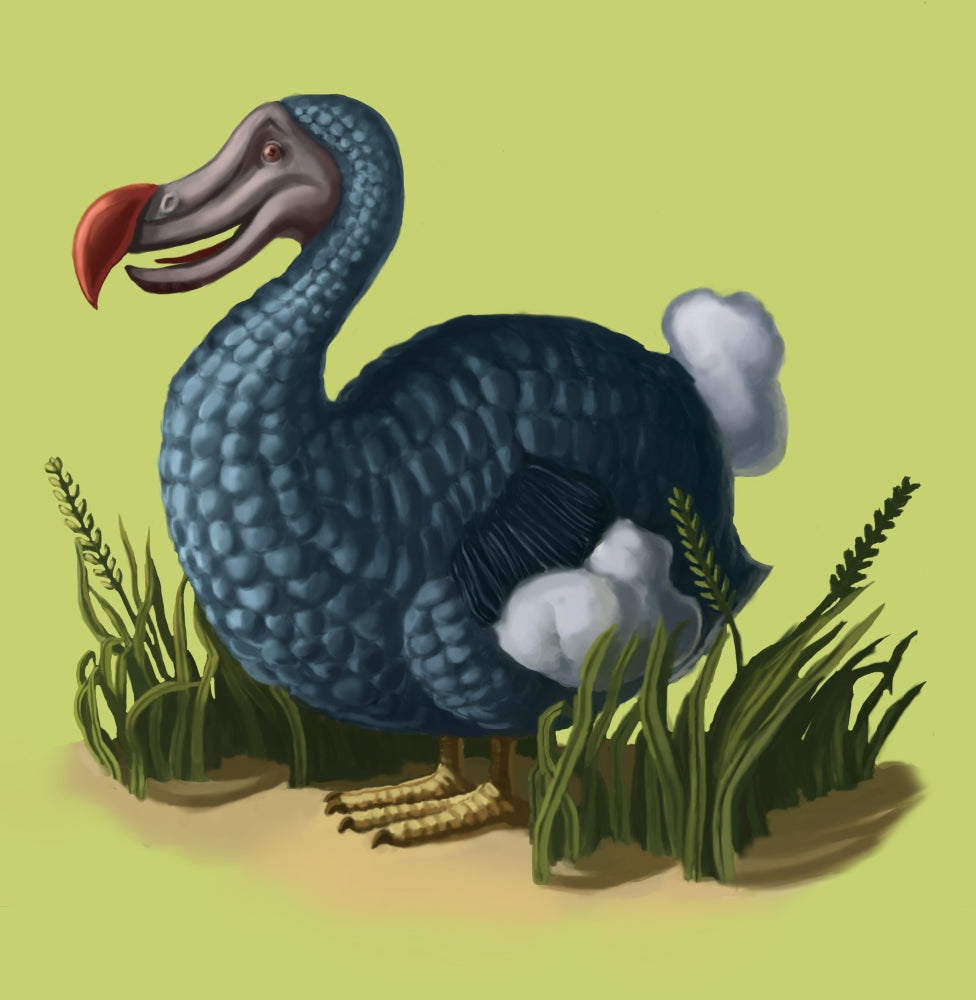Dodo Bird Poster Print by Spencer Sutton, showcasing a whimsical illustration of the extinct bird.