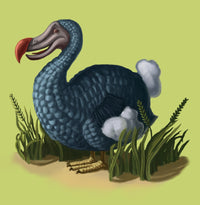 Dodo Bird Poster Print by Spencer Sutton, showcasing a whimsical illustration of the extinct bird.
