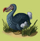 Dodo Bird Poster Print by Spencer Sutton, showcasing a whimsical illustration of the extinct bird.