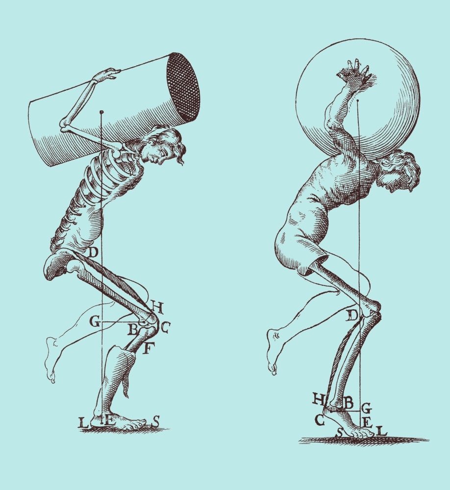 Biomechanics Poster Print showcasing the mechanics of human movement.