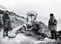 Berezovka Woolly Mammoth Poster Print showcasing prehistoric artwork
