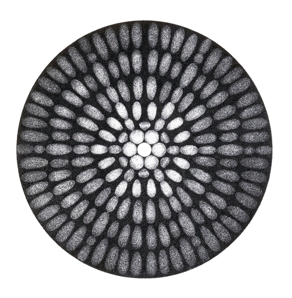Fraunhofer Diffraction Patterns Poster Print showcasing intricate light patterns.