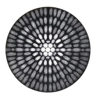 Fraunhofer Diffraction Patterns Poster Print showcasing intricate light patterns.