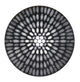 Fraunhofer Diffraction Patterns Poster Print showcasing intricate light patterns.