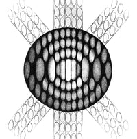 Fraunhofer Diffraction Patterns Poster Print showcasing intricate light diffraction patterns.