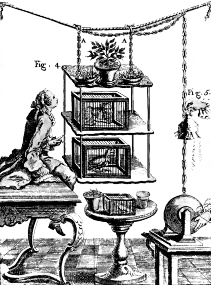 Nollet's Electricity Effects On Plants and Animals Poster Print showcasing the impact of electricity on living organisms.