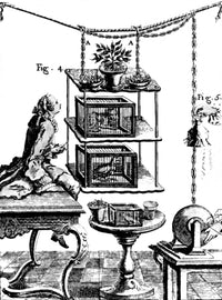 Nollet's Electricity Effects On Plants and Animals Poster Print showcasing the impact of electricity on living organisms.