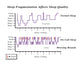 Sleep Fragmentation Affects Sleep Quality Graph Poster Print by Gwen Shockey