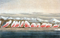 Phenomenon of Pink Arctic Ice Poster Print showcasing vibrant colors and natural beauty.
